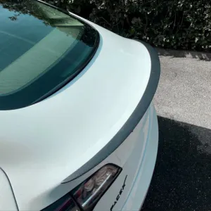 Hovedbilde Tesla Model 3 Carbon Bagklaps Spoiler 17- ...